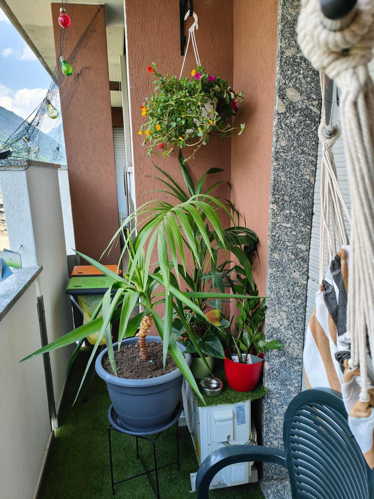 Alfiume B Lägenhet Tirano Exteriör bild